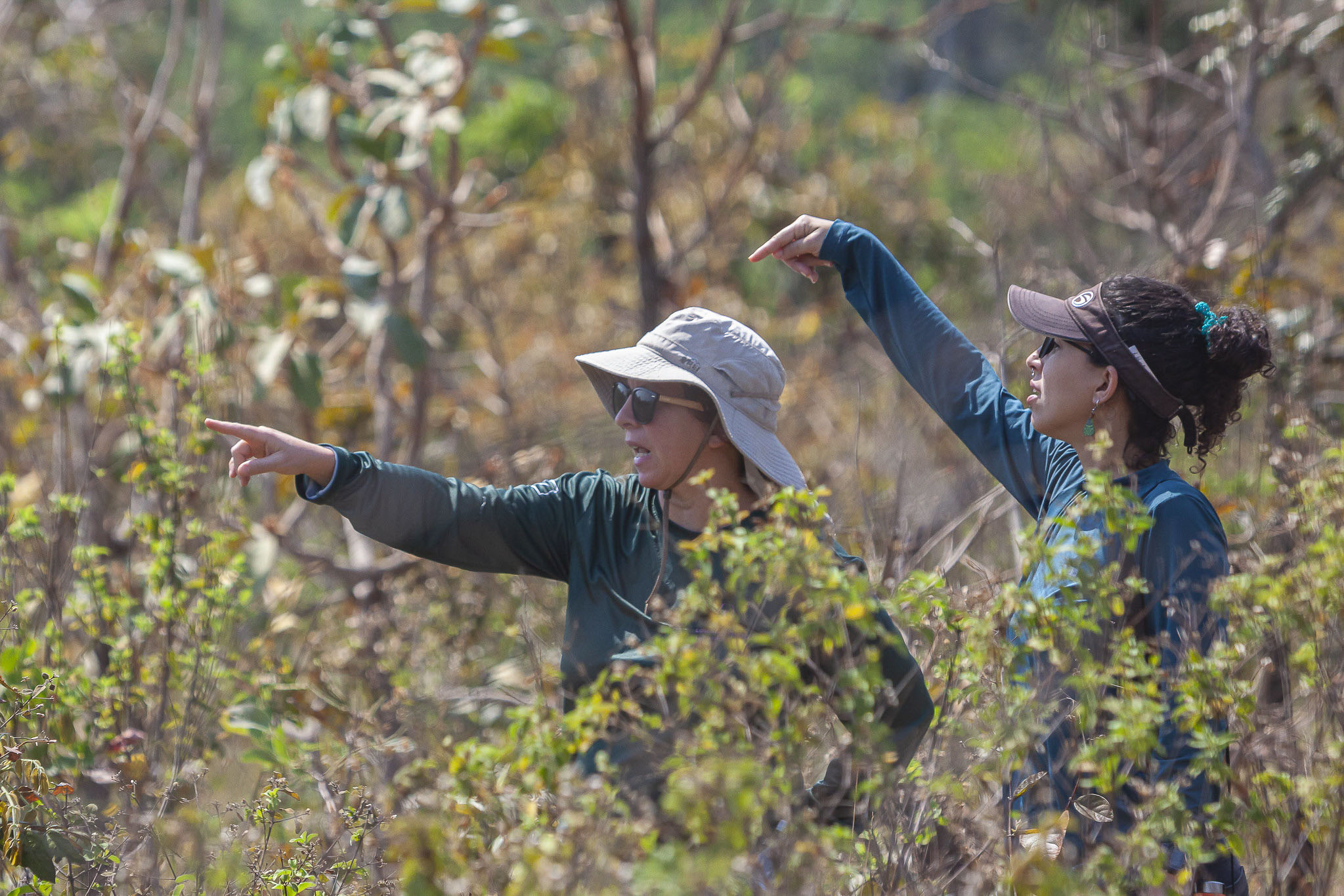 Imagem Expedição Chap Guim - ESEC Serra das Araras--42 da expedição de expedicoes/araras_25